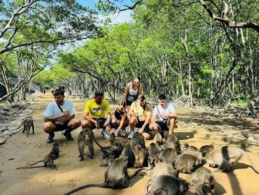 Can Gio Mangrove GROUP TOUR